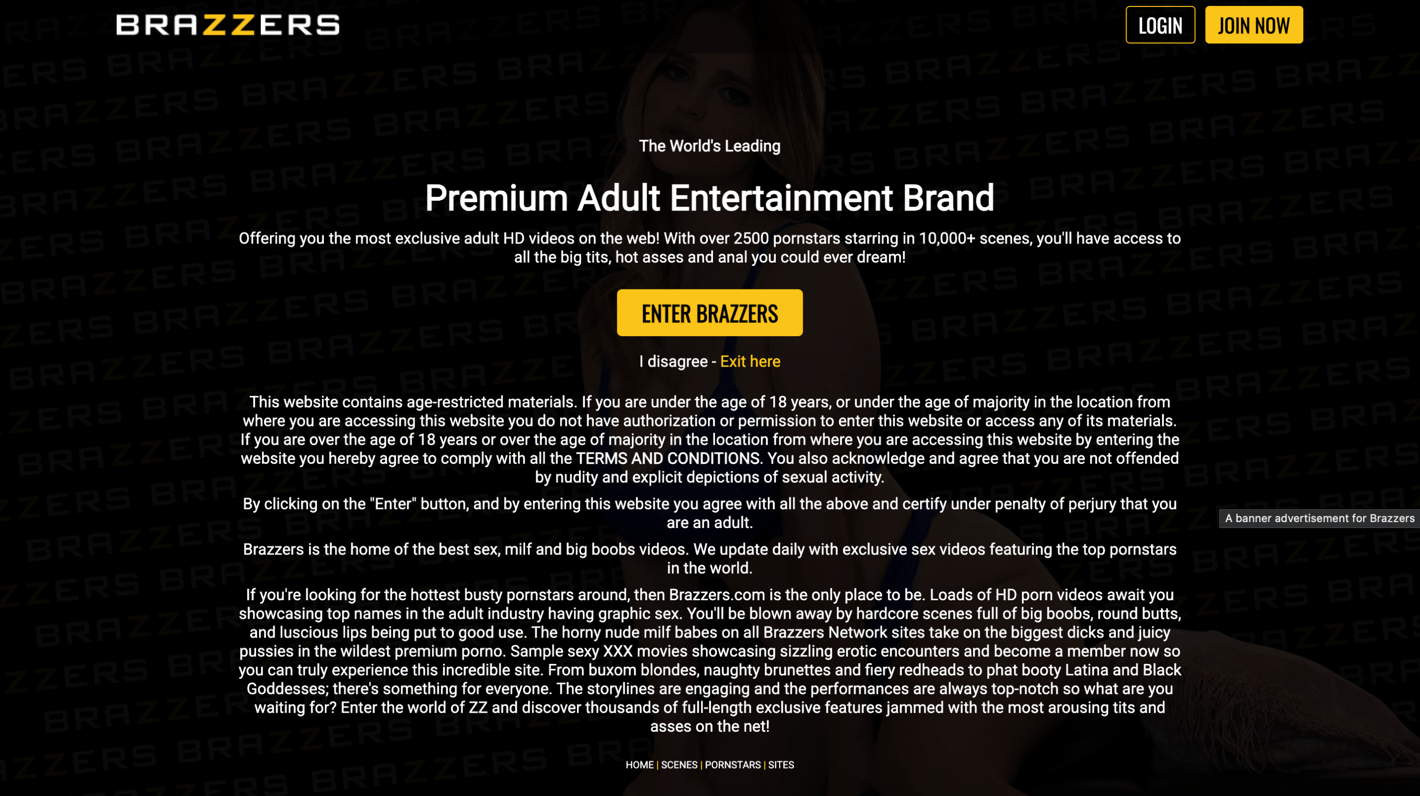 Brazzers homepage showing premium HD video catalog with top pornstars